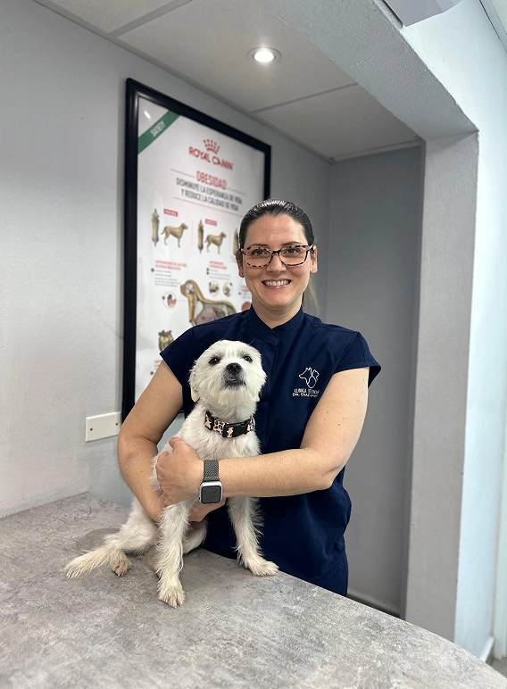 Planes Preventivos para proteger a tu mascota